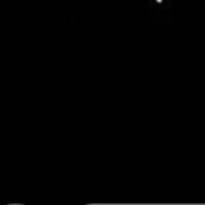 Meet your Posher, Leonardo